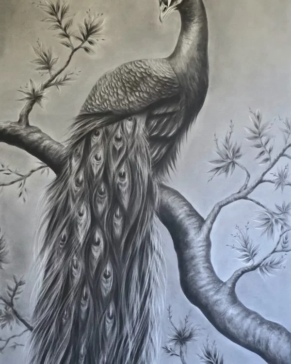 Elegance in Charcoal
